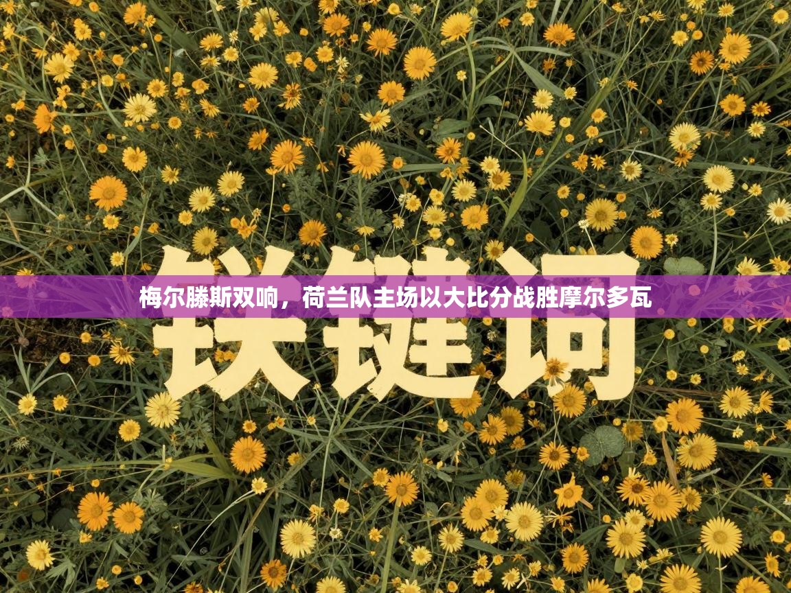 梅尔滕斯双响，荷兰队主场以大比分战胜摩尔多瓦  第1张