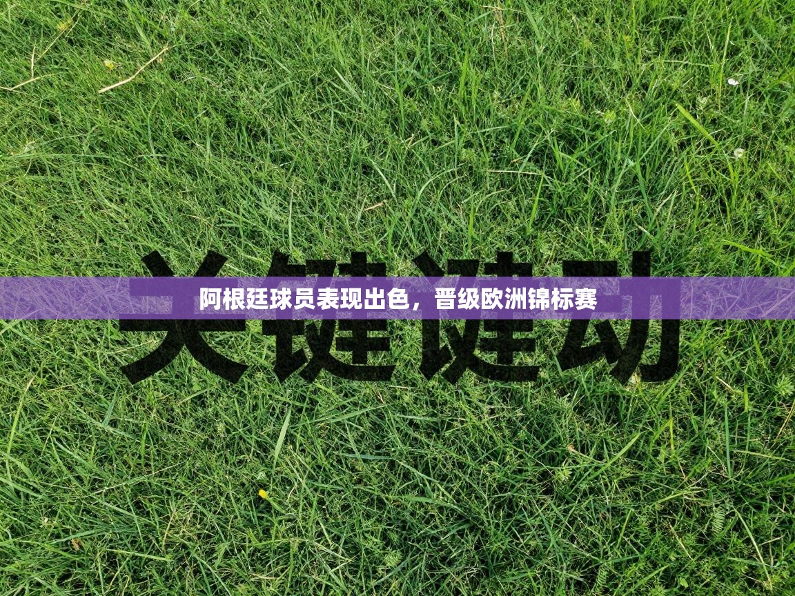 阿根廷球员表现出色,晋级欧洲锦标赛 第2张