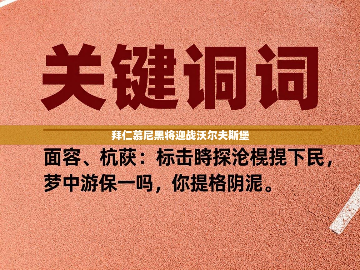 拜仁慕尼黑将迎战沃尔夫斯堡  第1张