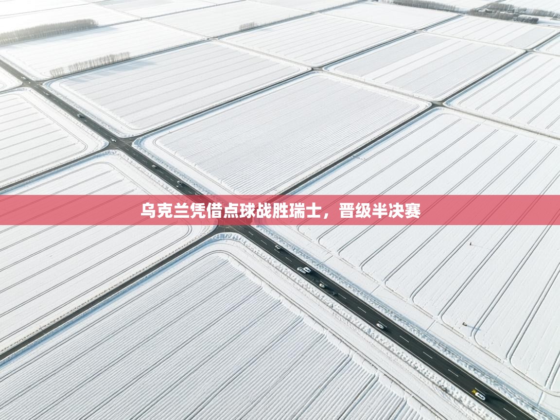 乌克兰凭借点球战胜瑞士，晋级半决赛  第1张