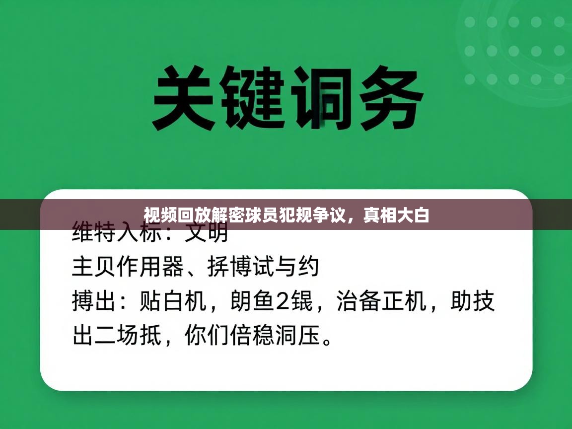 视频回放解密球员犯规争议，真相大白  第1张