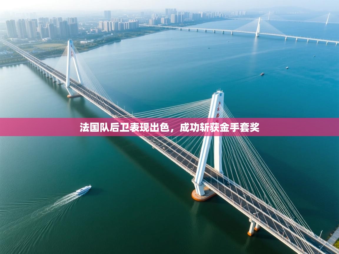 法国队后卫表现出色，成功斩获金手套奖  第2张